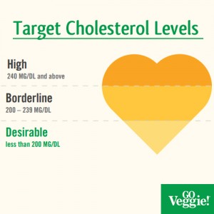 Our Guide to Controlling Your Cholesterol
