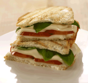 LR-Grilled-Sandwich300x283