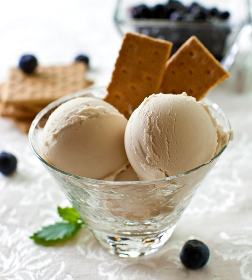 Vegan-Icecream_500x554